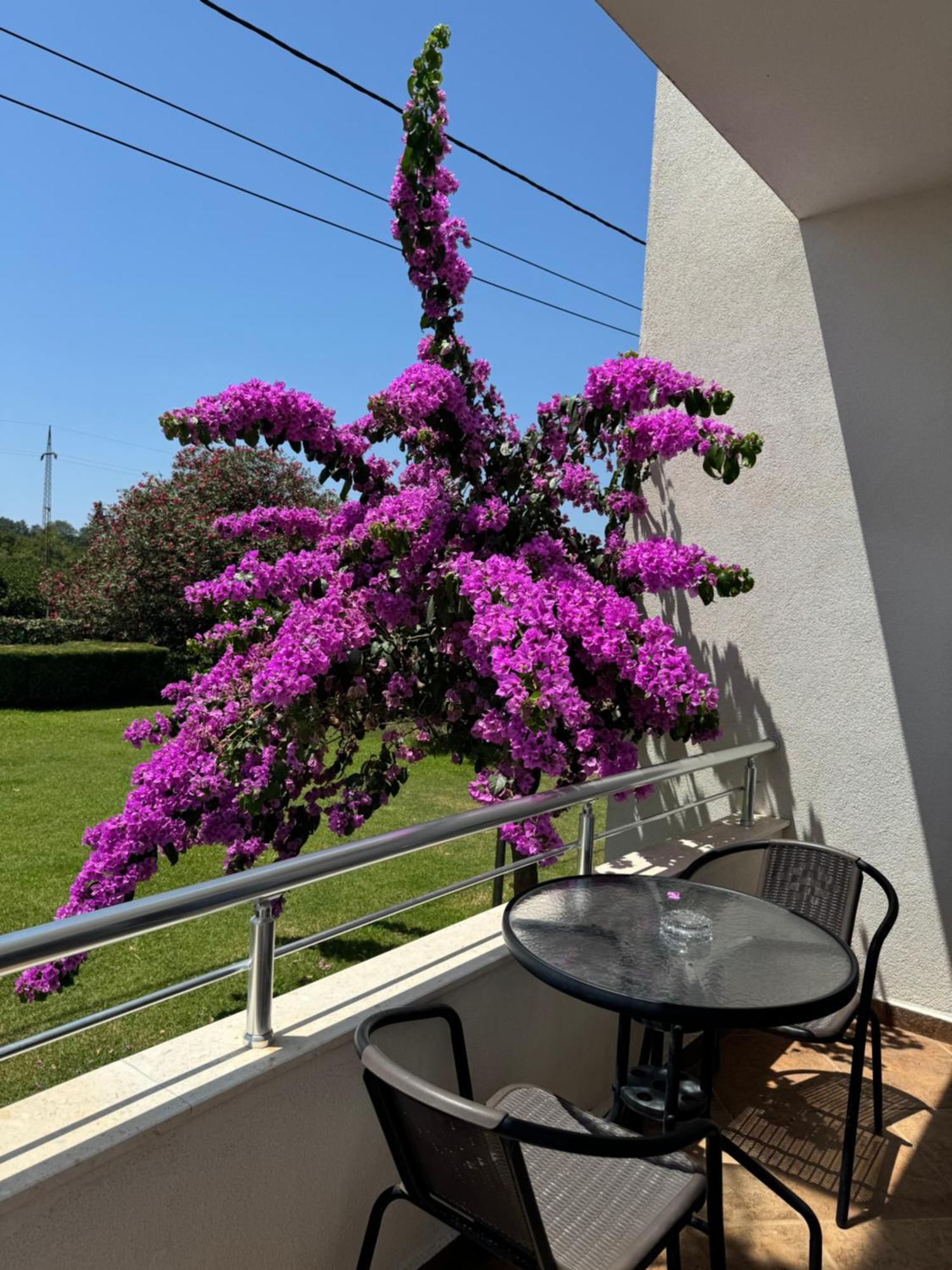 Sunrise House Apartments Ulcinj Exteriér fotografie